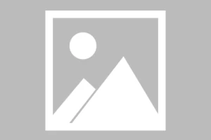 病态占有 现言《假意虚情》by百川归位，年龄差上位者低头病态占有欲